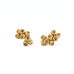 Seeds Gold Earrings