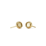 Stud Gold Earrings