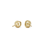 Stud Gold Earrings